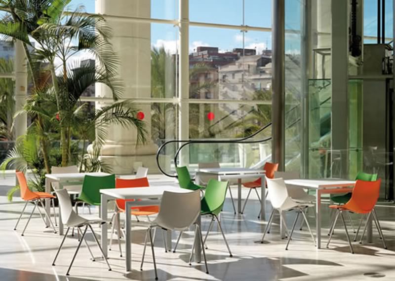 Silla Shell para comercios, restaurantes o comedores